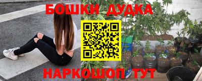 не бодяженный Камышлов