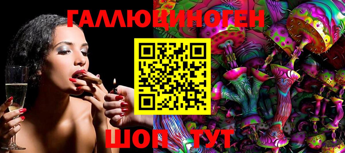 Псилоцибиновые грибы Cubensis Кинель