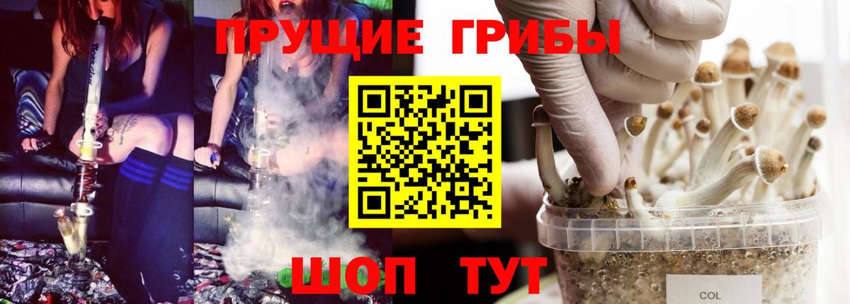 дарнет шоп  Псилоцибиновые грибы Magic Shrooms  Вход с VPN  Псилоцибиновые грибы мухоморы  Кинель 